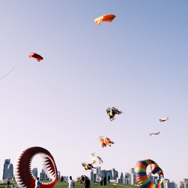 people flying kites on the meadow in qatar