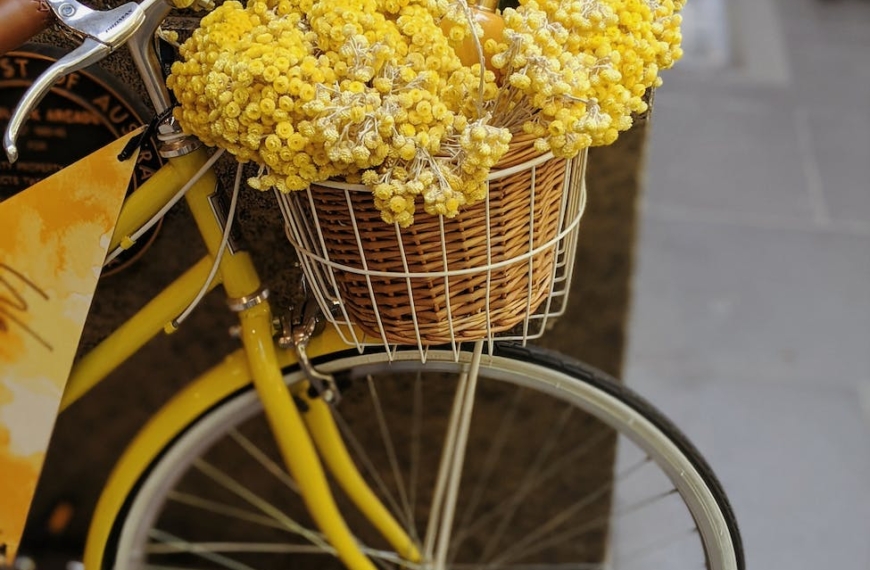 yellow flowers in brown woven basket on bicycle