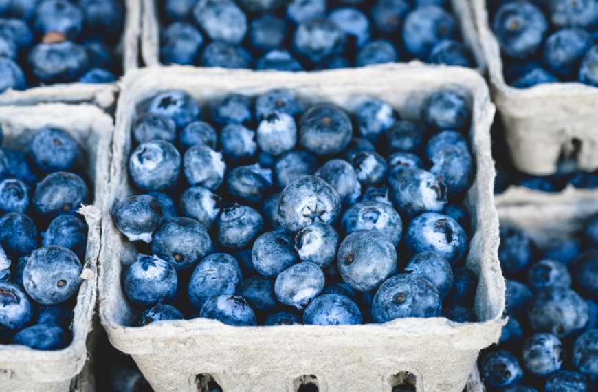 blueberry fruit on gray container