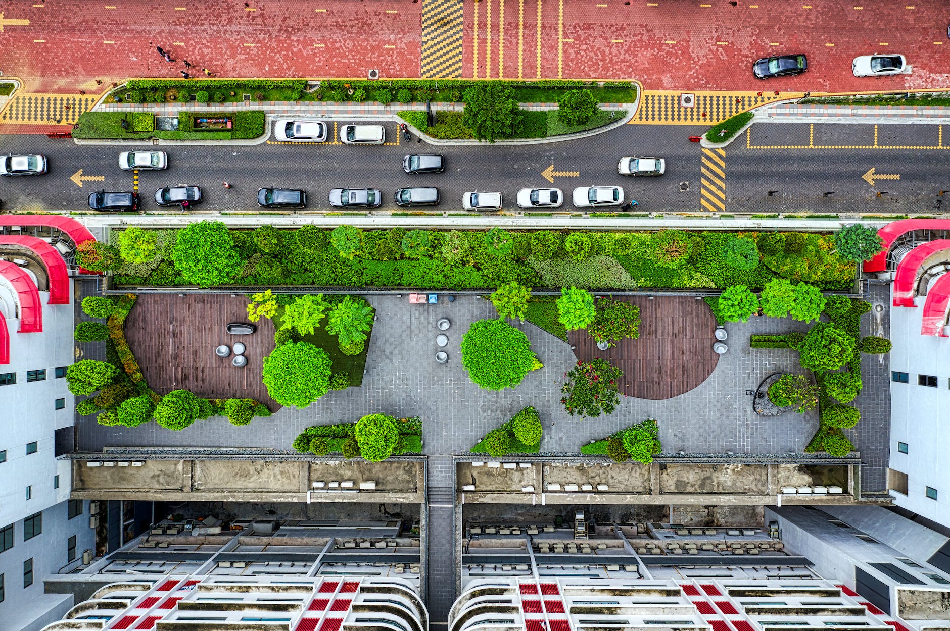 aerial view of green trees on the rooftop and road beside