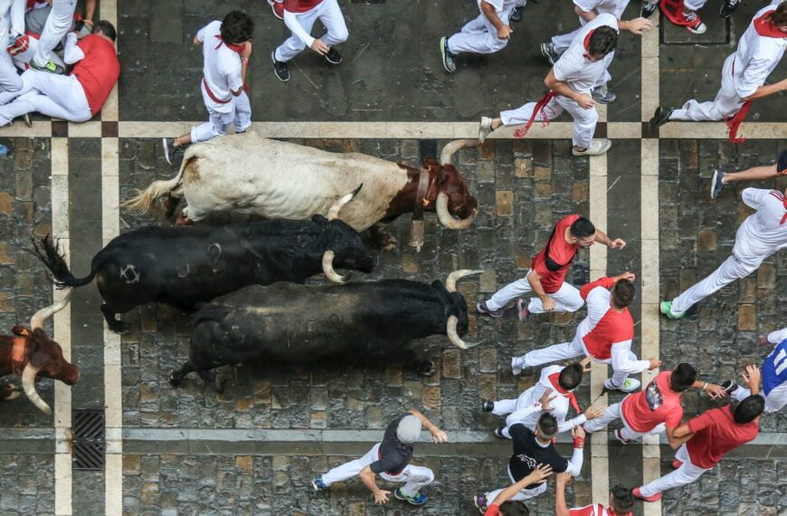 bird s eye view photography of bull surrounded with men