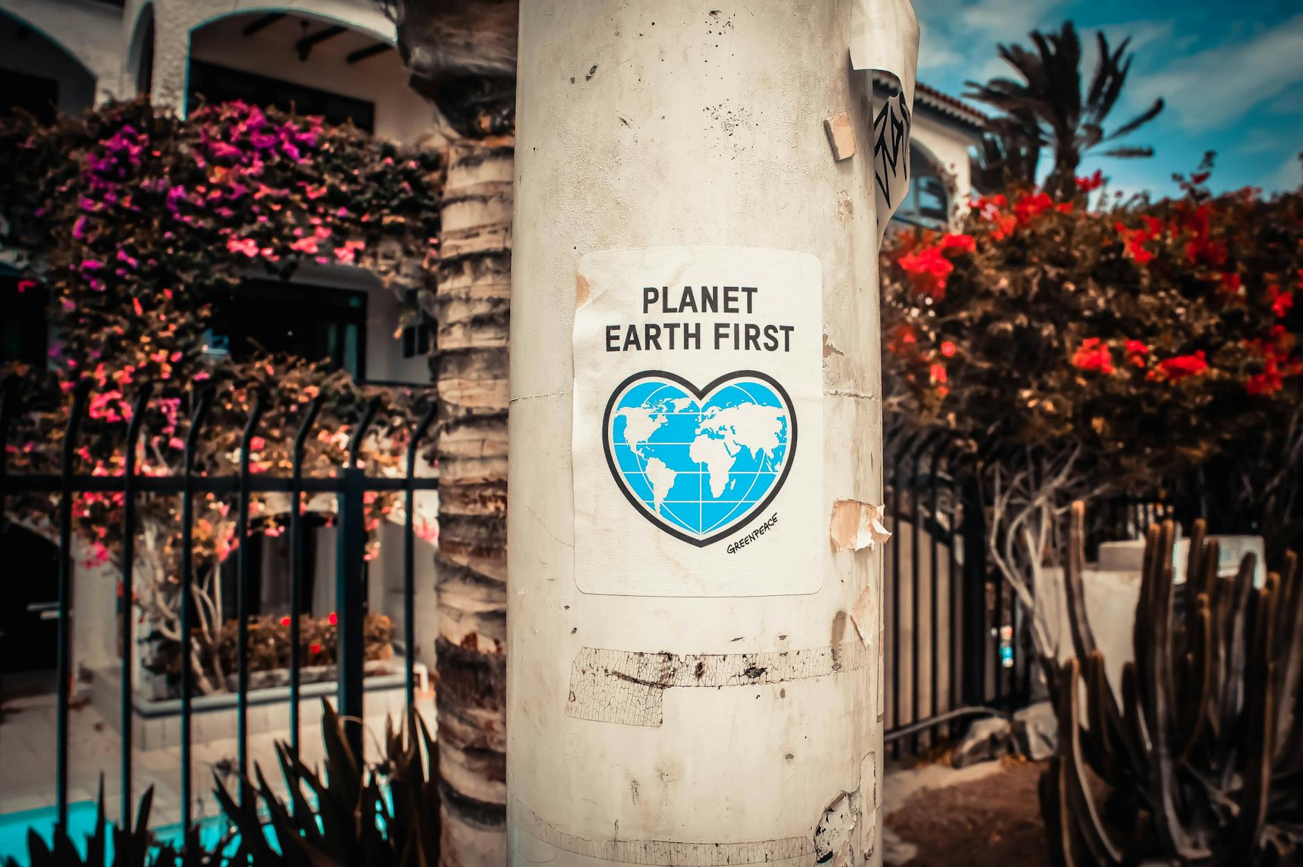 planet earth first poster on a concrete post