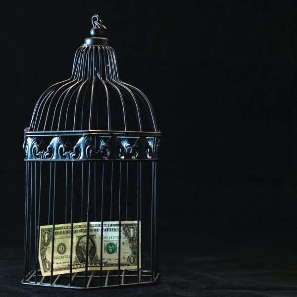black steel pet cage with one dollar