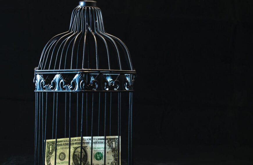 black steel pet cage with one dollar