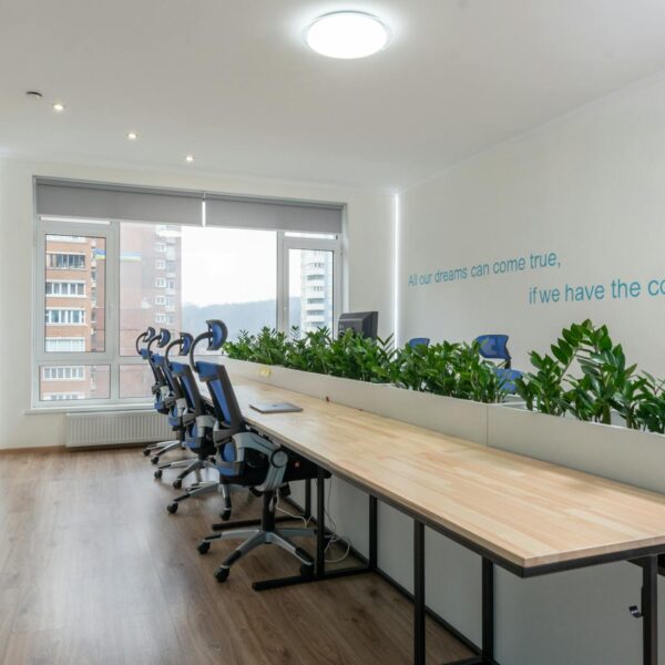 table with plants in boardroom