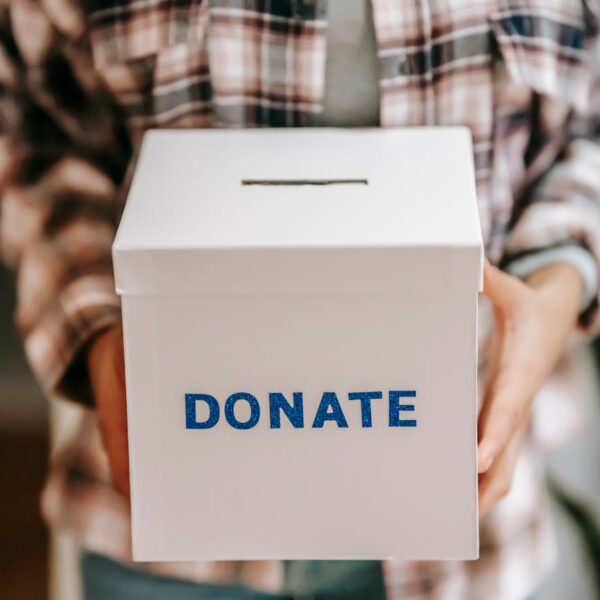 crop anonymous person showing donation box